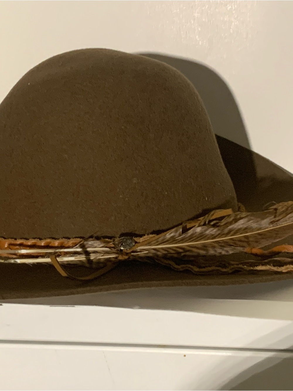 Women’s Brown  Hat with Feather Trim